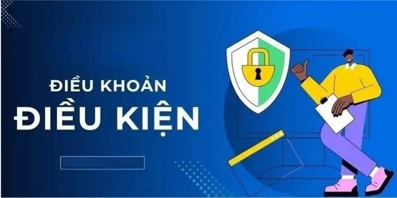 Sơ lược về điều khoản và điều kiện 7Ball